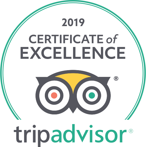 tripadvisor reviews